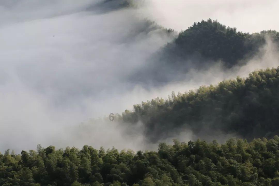 项目管理能起到什么用处？