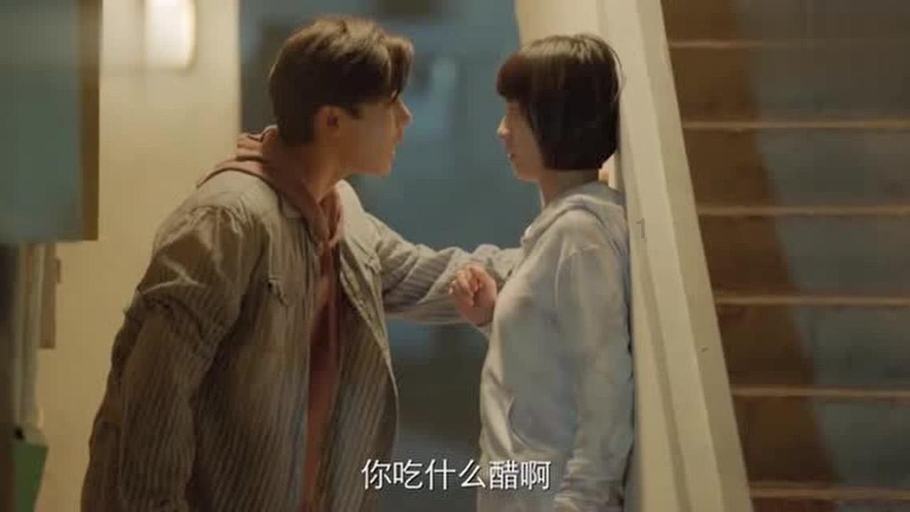 呆萌动物园